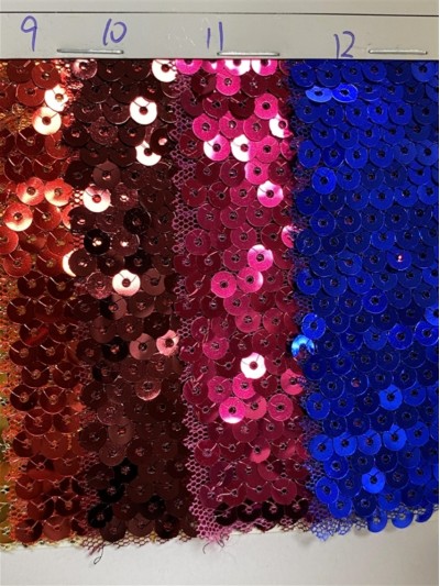 GZ-CLN 亮片閃光網布  後面照